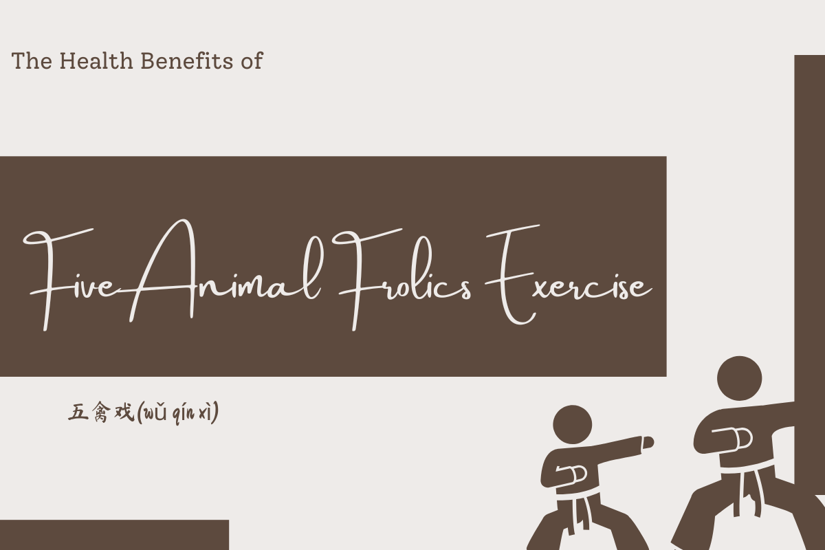 The Health Benefits of Five Animal Frolics Exercise