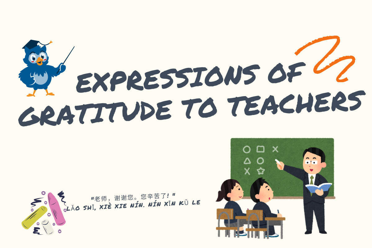 Expressions of Gratitude to Teachers