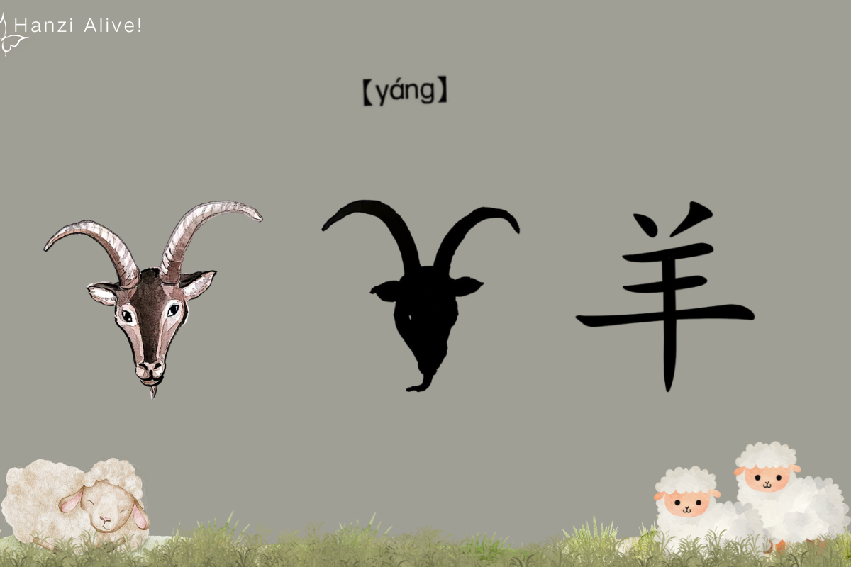 Hanzi Alive!(20)